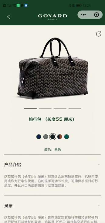 Picture of Goyard Handbags _SKUfw225669758fw